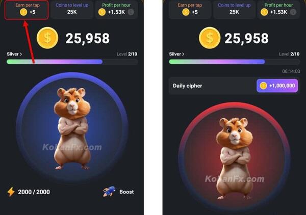 عکس کد یک میلیونی همستر