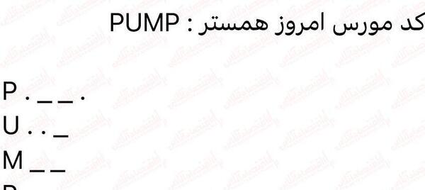 عکس مورس همستر