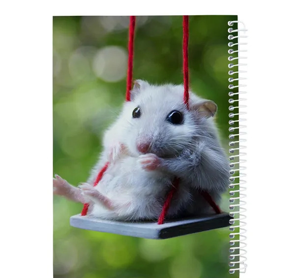 عکس نقاشی همستر کامبت