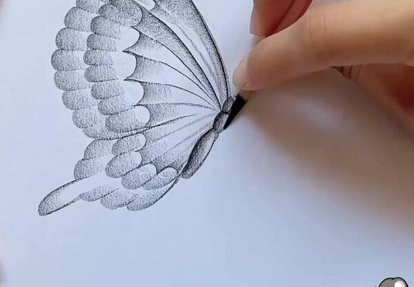 عکس نقاشی کودکانه پروانه روی گل