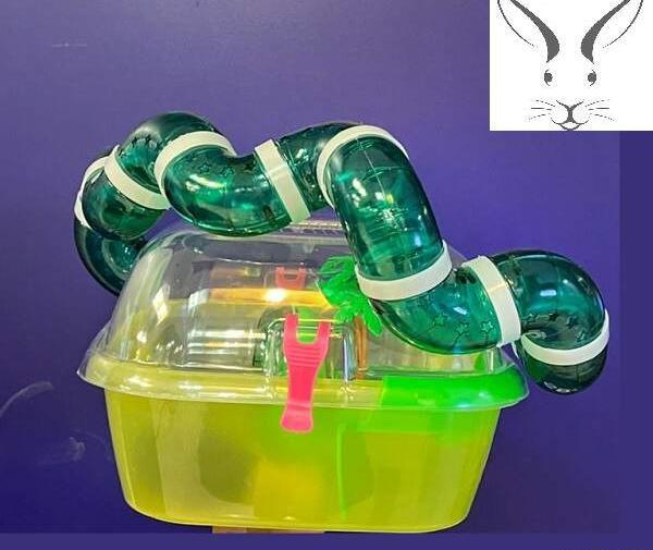 عکس قفسه همستر