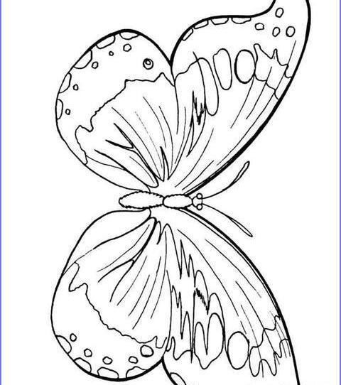 عکس نقاشی کودکانه پروانه بزرگ