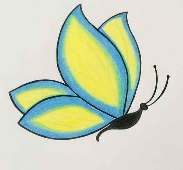 عکس نقاشی کودکانه پروانه کوچک