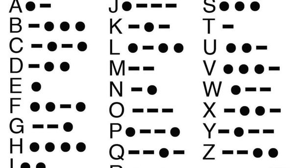 عکس کد همستر عکس کد همستر