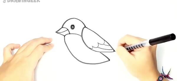 عکس نقاشی کودکانه پرنده چرخ ریسک