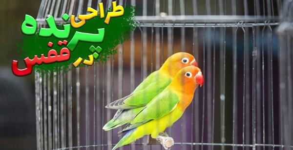 عکس نقاشی کودکانه پرنده در قفس