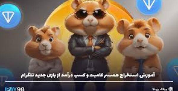 عکس همستر بازی جدید
