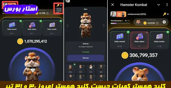 عکس کلید در همستر چیست