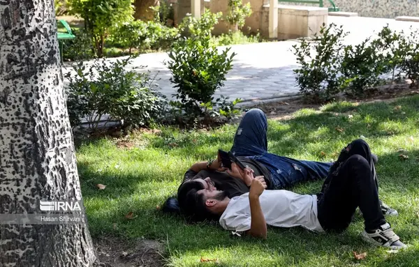 عکس از صفحه همستر