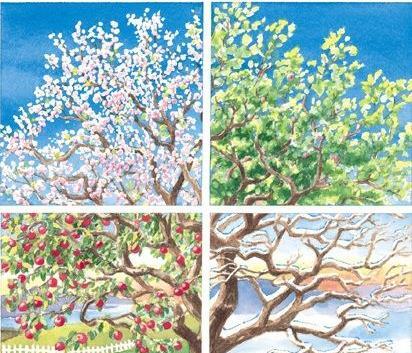 عکس نقاشی کودکانه 4 فصل