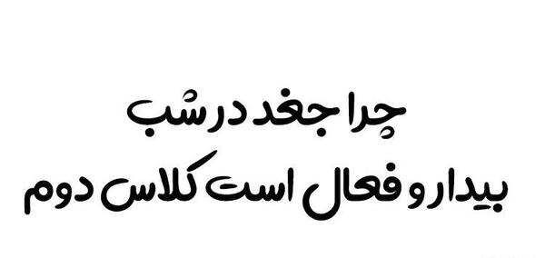 عکس نقاشی کودکانه حیوانات شب بیدار