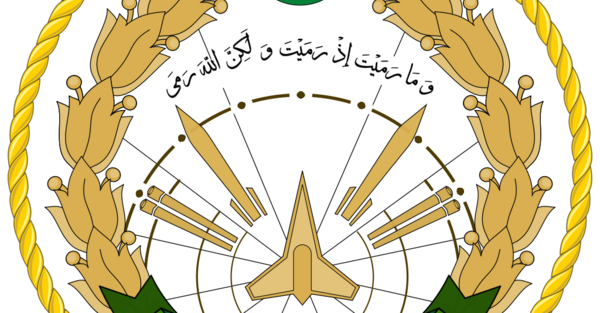 عکس از پدافند هوایی ارتش
