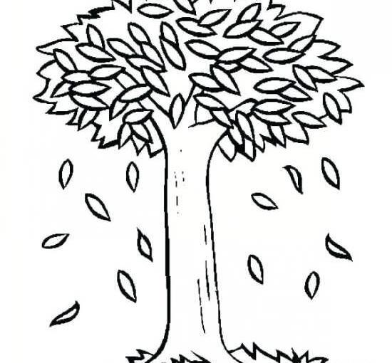 عکس نقاشی کودکانه درخت پاییزی