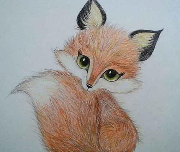 عکس نقاشی کودکانه روباه مکار