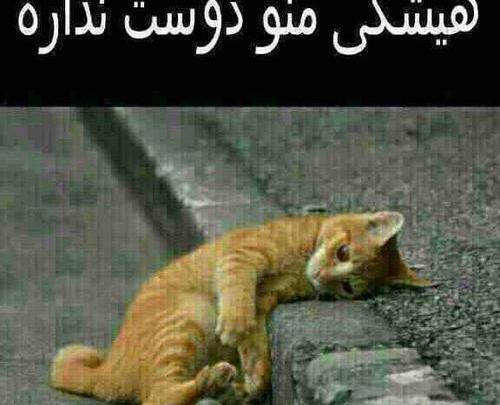 عکس نوشته کسی منو دوست نداره