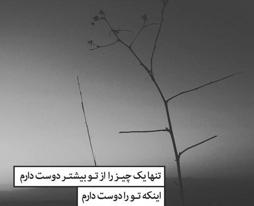 عکس نوشته من تو را دوست دارم تو دیگری را