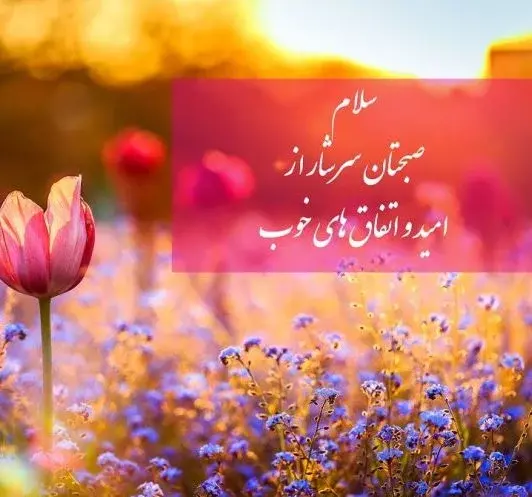 عکس نوشته سلام دوست خوبم