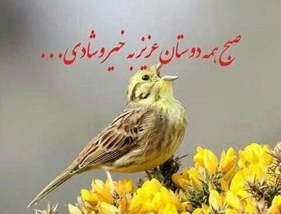 عکس نوشته سلام دوست خوبم