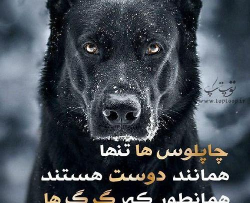 عکس نوشته در مورد دوست بد