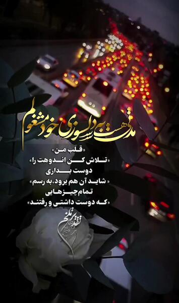 عکس نوشته تلاش کن اندوهت را دوست بداری