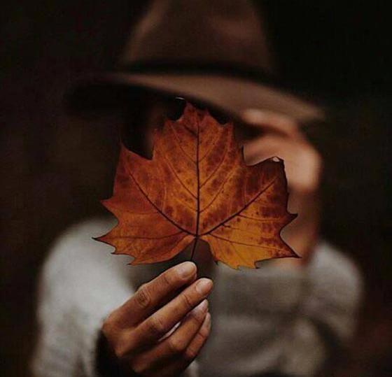 عکس تصویر زمینه پاییزی دخترانه