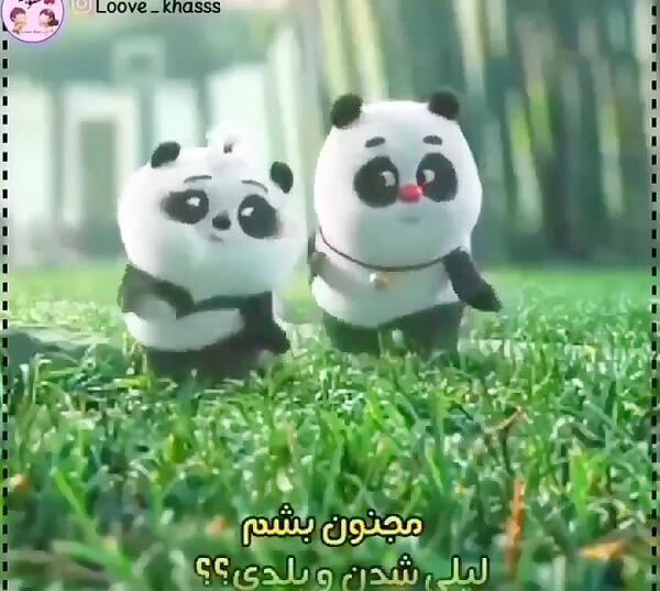 عکس تصویر زمینه پاندای کیوت