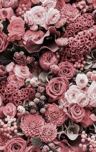 عکس تصویر زمینه صورتی کمرنگ