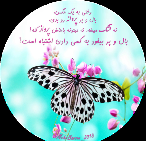 عکس نوشته لیاقت مگس