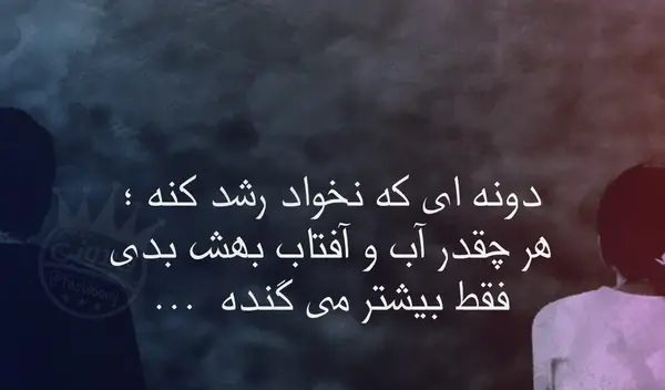 دانلود عکس نوشته ادم بی لیاقت