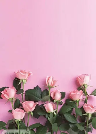 عکس تصویر زمینه زیبا برای گوشی گل