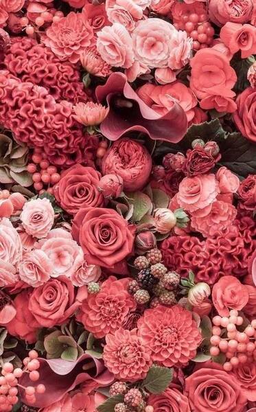 عکس تصویر زمینه زیبا برای گوشی گل