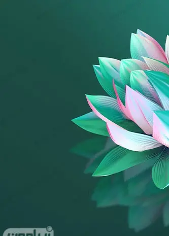 عکس تصویر زمینه شاد گل