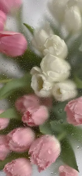 عکس تصویر زمینه شیک و باکلاس زنانه