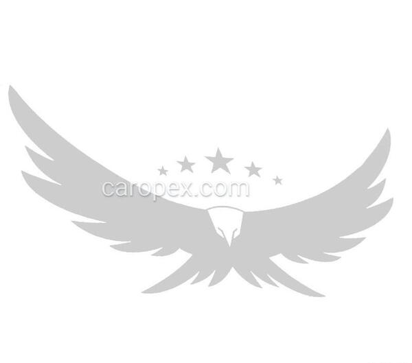 عکس ماشین عقابی