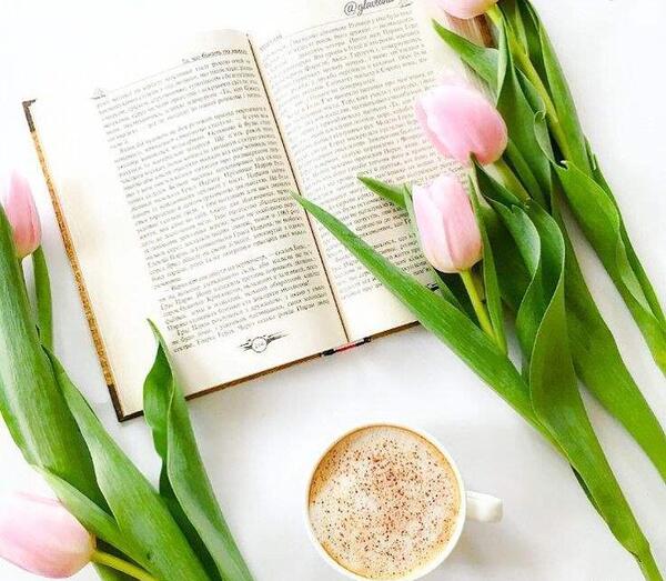 عکس پروفایل گل و کتاب