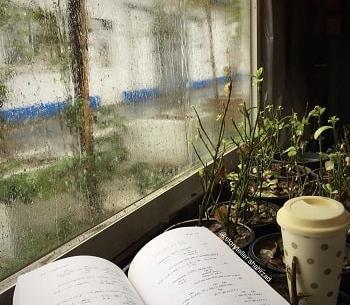 عکس کتاب ها برای پروفایل
