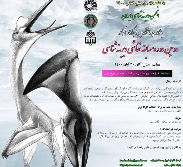عکس فسیل برای نقاشی