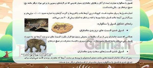 عکس فسیل ماموت داخل یخچال های طبیعی