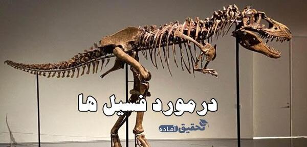 عکس کاربرد های فسیل