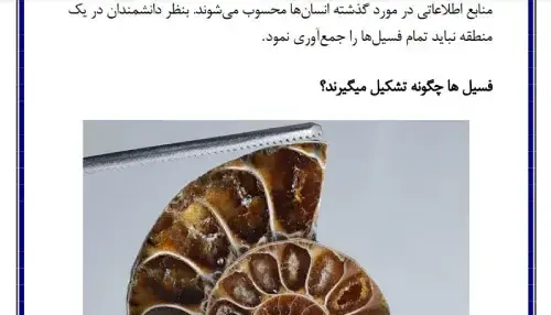 عکس در مورد کاربرد فسیل ها