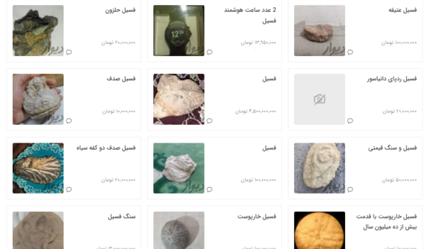 عکس فسیل مرجان دریایی