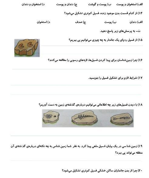 عکس مراحل تشکیل فسیل