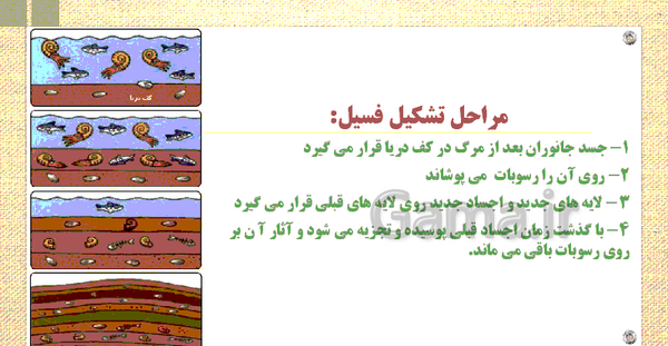 عکس مراحل تشکیل فسیل
