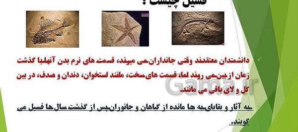 عکس مراحل تشکیل فسیل