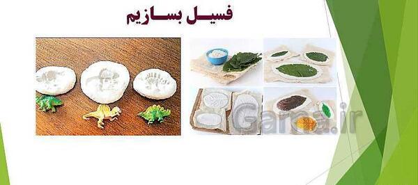 عکس مراحل تشکیل فسیل