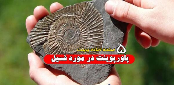 عکس های فسیل جانداران