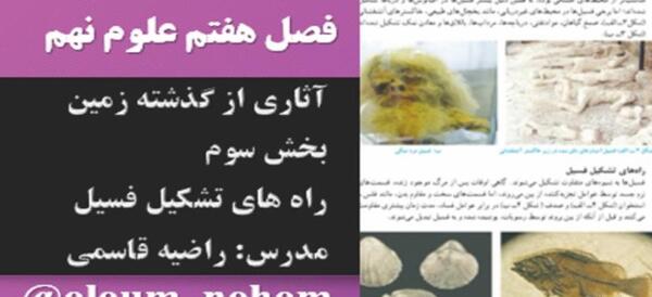 عکس چگونگی تشکیل فسیل