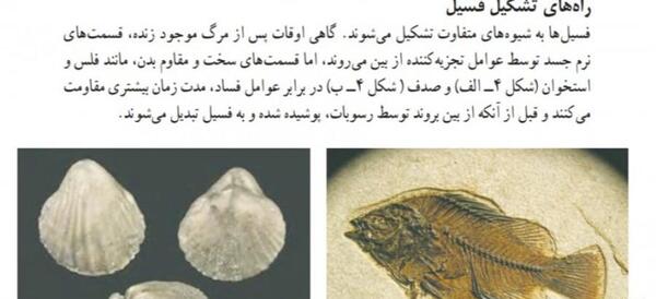 عکس چگونگی تشکیل فسیل