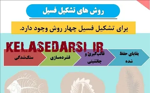 عکس چگونگی تشکیل فسیل