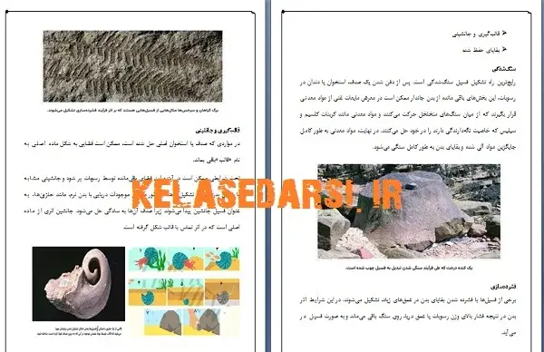 عکس چگونگی تشکیل فسیل